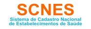 Teste SCNES